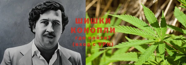 спиды Каменка