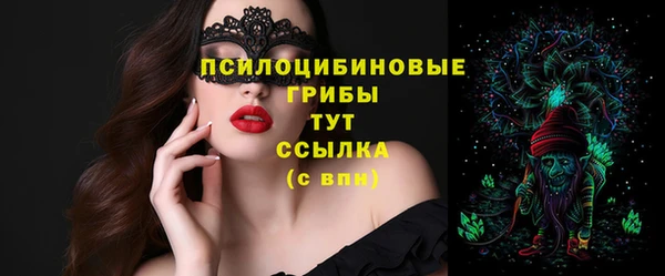 герыч Каменногорск