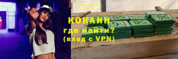 спиды Каменка