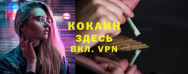 спиды Каменка