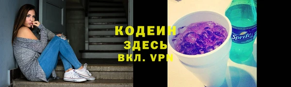 спиды Каменка