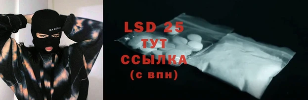 спиды Каменка