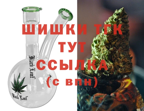 спиды Каменка