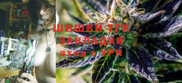 спиды Каменка