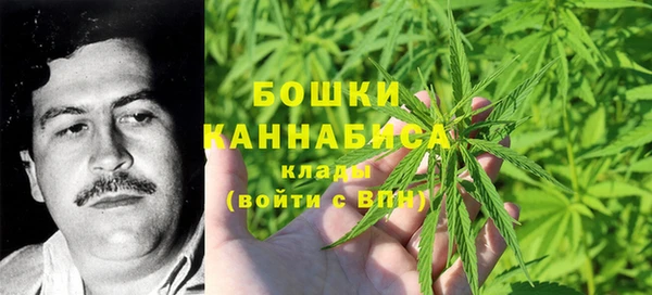 спиды Каменка