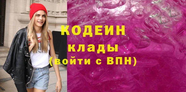 спиды Каменка