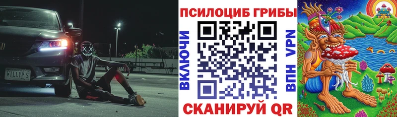 Купить закладки  Богородск  Псилоцибиновые грибы прущие грибы 